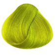Directionts fluorescent glow1